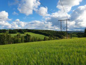 Ett böljande sommarlandskap. Foto.